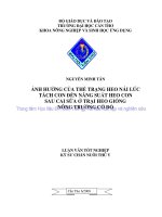 ẢNH HƯỞNG của THỂ TRẠNG HEO nái lúc TÁCH CON đến NĂNG SUẤT HEO CON SAU CAI sữa ở TRẠI HEO GIỐNG NÔNG TRƯỜNG cờ đỏ 