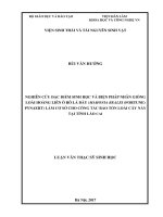 Nghiên cứu đặc điểm sinh học và biện pháp nhân giống loài hoàng liên ô rô lá dày (mahonia bealei (fortune) pynaert) làm cơ sở cho công tác bảo tồn loài cây này tại tỉnh lào cai 
