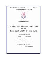 Xác định đột biến gen KRAS, BRAF, NRAS trong bệnh ung thư đại trực tràng