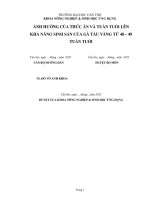ẢNH HƯỞNG của THỨC ăn và TUẦN TUỔI lên KHẢ NĂNG SINH sản của gà tàu VÀNG từ 40 – 49 TUẦN TUỔI 