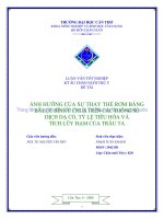 ẢNH HƯỞNG của sự THAY THẾ rơm BẰNG bã lục BÌNH ủ CHUA TRÊN các THÔNG số DỊCH dạ cỏ, tỷ lệ TIÊU hóa và TÍCH lũy đạm của TRÂU TA 