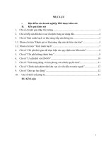 Báo Cáo Môi Trường Kinh Doanh Thành Phố Đà Nẵng Theo Cảm Nhận Của Các Doanh Nghiệp Có Vốn Đầu Tư Trực Tiếp Nước Ngoài (Doanh Nghiệp FDI)