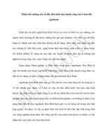 Phân tích những yếu tố dẫn đến lãnh đạo thành công của giám đốc agribank hòa bình 