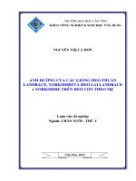 ẢNH HƯỞNG của các GIỐNG HEO THUẦN LANDRACE, YORKSHIRE và HEO LAI LANDRACE x YORKSHIRE TRÊN HEO CON THEO mẹ 