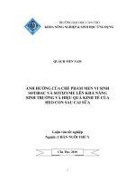 ẢNH HƯỞNG của CHẾ PHẨM MEN VI SINH  SOTIBAC và SOTIZYME lên KHẢ NĂNG  SINH TRƯỞNG và HIỆU QUẢ KINH tế của  HEO CON SAU CAI sữa 