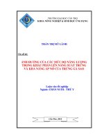 ẢNH HƯỞNG của các mức độ NĂNG LƯỢNG TRONG KHẨU PHẦN lên NĂNG SUẤT TRỨNG và KHẢ NĂNG ấp nở của TRỨNG gà SAO 