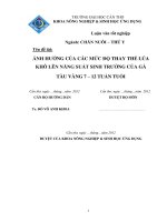 ẢNH HƯỞNG của các mức độ THAY THẾ lúa KHÔ lên NĂNG SUẤT SINH TRƯỞNG của gà tàu VÀNG 7 – 12 TUẦN TUỔI 