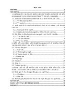 VĂN NGHỆ dân GIAN của NGƯỜI lự ở sìn hồ, TỈNH LAI CHÂU