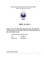 Vai trò của ngân hàng nhà nước trong việc giải quyết sự khủng hoảng của hệ thống NHTM việt nam giai đoạn vừa qua 