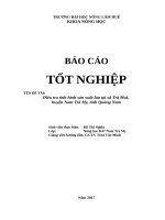 zzzzzzz BCTN hồ thị nghĩa nam trà mi 101217   copy