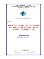 ẢNH HƯỞNG các LOẠI THỨC ăn hỗn hợp đến TĂNG TRƯỞNG của HEO CON SAU CAI sữa từ 5   10 TUẦN TUỔI 