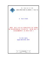 ẢNH HƯỞNG của VIỆC bổ SUNG các mức đột ETRA TRỨNG lên NĂNG SUẤT và CHẤT LƯỢNG TRỨNG của gà ISA BROWN từ 31 – 39 TUẦN TUỔI 