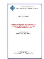 ẢNH HƯỞNG của các NHÓM GIỐNG và PHÁI TÍNH TRÊN NĂNG SUẤT của HEO GIAI đoạn 60   90 NGÀY TUỔI 