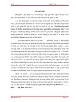 Chính sách giảm nghèo bền vững trên địa bàn huyện ……  , tỉnh .........