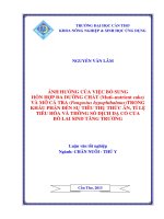 ẢNH HƯỞNG của VIỆC bổ SUNG hỗn hợp đa DƯỠNG CHẤT và mỡ cá TRA TRONG KHẨU PHẦN đến sự TIÊU THỤ THỨC ăn, tỉ lệ TIÊU hóa và THÔNG số DỊCH dạ cỏ của bò LAI SIND TĂNG TRƯỞNG 