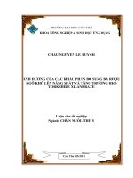 ẢNH HƯỞNG của các KHẨU PHẦN bổ SUNG bả rượu NGÔ KHÔ lên NĂNG SUẤT và TĂNG TRƯỞNG HEO YORKSHIRE x LANDRACE 