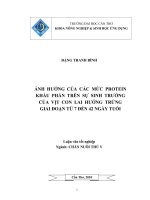 ẢNH HƯỞNG của các mức PROTEIN KHẨU PHẦN TRÊN sự SINH TRƯỞNG của vịt CON LAI HƯỚNG TRỨNG GIAI đoạn từ 7 đến 42 NGÀY TUỔI 