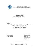 ẢNH HƯỞNG các NGUỒN đạm vô cơ lên KHẢ  NĂNG THÍCH NGHI của bò  và sự SINH KHÍ IN VITRO 