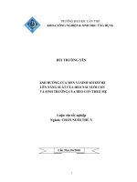 ẢNH HƯỞNG của MEN VI SINH SOTIZYME lên NĂNG SUẤT của HEO nái NUÔI CON và SINH TRƯỞNG của HEO CON THEO mẹ 