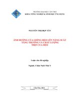 ẢNH HƯỞNG của GIỐNG HEO lên NĂNG SUẤT TĂNG TRƯỞNG và CHẤT LƯỢNG THỊT của HEO 
