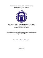 giao thoa văn hóa tiểu luận giao thoa văn hóa