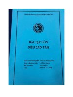 Bài tập lớn môn kỹ thuật siêu cao tần