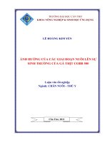 ẢNH HƯỞNG của các GIAI đoạn NUÔI lên sự SINH TRƯỞNG của gà THỊT COBB 500 