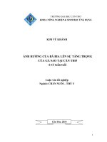 ẢNH HƯỞNG của bã BIA lên sự TĂNG TRỌNG  của gà SAO tại cần THƠ 6   13 tuần tuổi 