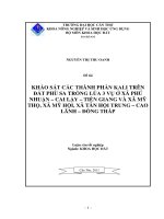 KHẢO sát các THÀNH PHẦN KALI TRÊN đất PHÙ SA TRỒNG lúa 3 vụ ở xã PHÚ NHUẬN – CAI lậy – TIỀN GIANG và xã mỹ THỌ, xã mỹ hội, xã tân hội TRUNG – CAO LÃNH – ĐỒNG THÁP 