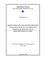 KHẢO sát KHẢ NĂNG TIẾT ENZYME CHITINASES và β 1,3 GLUCANASE của các CHỦNG nấm trichodermaspp  được sưu tập tại ĐỒNG BẰNG SÔNG cửu LONG 