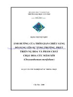 ẢNH HƯỞNG của THỜI GIAN CHIẾU SÁNG bổ SUNG lên sự TĂNG TRƯỞNG, PHÁT TRIỂN nụ HOA và PHẨM CHẤT CHẬU HOA cúc mâm xôi 