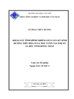 KHẢO sát TÌNH HÌNH NHIỄM GIUN sán ký SINH ĐƯỜNG TIÊU hóa ở gà THẢ vườn tại THỊ xã SA đéc TỈNH ĐỒNG THÁP 