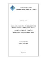 KHẢO sát ẢNH HƯỞNG của điều KIỆN môi TRƯỜNG NUÔI cấy đến sự NHÂN CHỒI và tạo rễ IN VITRO cây TRE RỒNG 