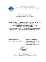 ẢNH HƯỞNG của NAPHTHALENE ACETIC ACID đến số HOA LƯỠNG TÍNH và 2,4DICHLOROPHENOXY ACETIC ACID đến sự RỤNG TRÁI TRÊN NHÃN XUỒNG cơm VÀNG tại HUYỆN CHÂU THÀNH, TỈNH ĐỒNG THÁP 