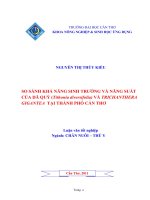 SO SÁNH KHẢ NĂNG SINH TRƯỞNG và NĂNG SUẤT của dã QUỲ (tithonia diversifolia)và TRICHANTHERA GIGANTEA tại THÀNH PHỐ cần THƠ 