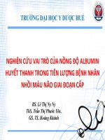 Nghiên Cứu Vai Trò Của Nồng Độ Albumin Huyết Thanh Trong Tiên Lượng Bệnh Nhân Nhồi Máu Não Giai Đoạn Cấp