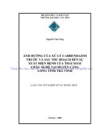 ẢNH HƯỞNG của xử lý CARBENDAZIM TRƯỚC và SAU THU HOẠCH đến sự XUẤT HIỆN BỆNH của TRÁI XOÀI CHÂU NGHỆ tại HUYỆN CÀNG LONG TỈNH TRÀ VINH 