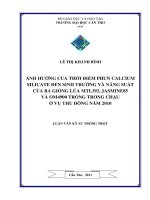 ẢNH HƯỞNG của THỜI điểm PHUN CALCIUM SILICATE đến SINH TRƢỞNG và NĂNG SUẤT của BA GIỐNG lúa MTL392, JASMINE85 và OM4900 TRỒNG TRONG CHẬU ở vụ THU ĐÔNG năm 2010 