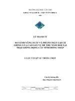 SO SÁNH NĂNG SUẤT và PHẨM CHẤT gạo 24 GIỐNG lúa CAO sản vụ hè THU năm 2010 tại TRẠI GIỐNG ĐỘNG cát TỈNH ĐỒNG THÁP 