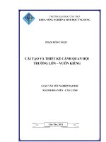 CẢI tạo và THIẾT kế CẢNH QUAN hội TRƯỜNG lớn – vườn KIỂNG 