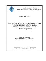 ẢNH HƯỞNG NỒNG độ và THỜI GIAN xử lý PACLOBUTRAZOL lên sự RA HOA TRÊN MAI GIẢO và MAI VÀNG 