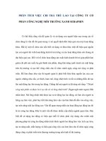 PHÂN TÍCH VIỆC CHI TRẢ THÙ LAO tại công ty cổ phẩn công nghệ môi trường xanh seraphin 