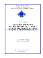 KHẢO sát sự SINH TRƯỞNG của HEO THỊT (60KG   XUẤT CHUỒNG) tại TRANG TRẠI THUỘC xã PHÚ PHONG HUYỆN CHÂU THÀNH TỈNH TIỀN GIANG 