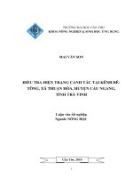 ĐIỀU TRA HIỆN TRẠNG CANH tác tại KÊNH bê TÔNG, xã THUẬN hòa, HUYỆN cầu NGANG, TỈNH TRÀ VINH 