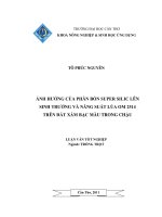 ẢNH HƯỞNG của PHÂN bón SUPER SILIC lên SINH TRƯỞNG và NĂNG SUẤT lúa OM 2514 TRÊN đất xám bạc màu TRONG CHẬU 