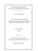 Các Yếu Tố Quyết Định Đến Sự Thỏa Mãn Khách Hàng Cá Nhân Sử Dụng Dịch Vụ Truyền Hình Mobitv Tại Khu Vực Đồng Bằng Sông Cửu Long