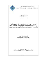 ĐÁNH GIÁ ẢNH HƯỞNG của CHẾ PHẨM  MEN VI SINH SOTIZYME TRÊN NĂNG SUẤT và  HIỆU QUẢ KINH tế của HEO CON SAU CAI sữa 