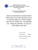 KHẢO sát ẢNH HƯỞNG của PHÂN lân đến hàm LƯỢNG lân và TỔNG THU hút lân của cây bắp RAU TRÊN các VÙNG đất TRỒNG RAU CHỦ yếu ở THỐT nốt – cần THƠ,BÌNH tân – VĨNH LONG,CHỢ mới – AN GIANG,CHÂU THÀNH – TV 