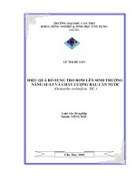 HIỆU QUẢ bổ SUNG TRO rơm lên SINH TRƯỞNG NĂNG SUẤT và CHẤT LƯỢNG RAU cần nước (oenanthe stolotifera DC ) 
