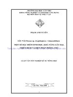 SÂU nái parasa sp  (lepidoptera   limacodidae) một số đặc điểm SINH học, KHẢ NĂNG gây hại, THIÊN ĐỊCH và BIỆN PHÁP PHÒNG TRỪ 